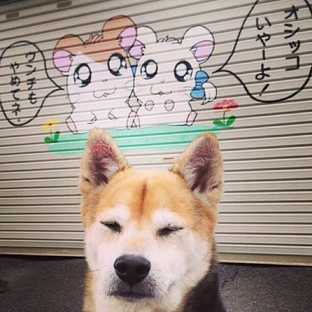 华体会登陆-黑魔法降临密尔沃基，当世界杯悬念投射NBA，魔术如何一波流摧毁雄鹿体系？